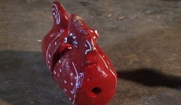 Khám phá Việt Nam: Kỳ lạ gà đất cất tiếng gáy như thật