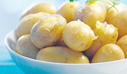 Ngỡ ngàng khoai tây “đại gia” có giá 15 triệu đồng/kg