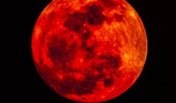 Trăng máu và những lời tiên đoán đáng sợ