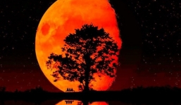 Bỏ túi bí kíp xem “ Mặt trăng máu” 