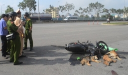 Trộm chó xong, 2 thanh niên bị xe tông chấn thương sọ não