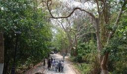 Xác chết một phụ nữ bốc mùi hôi thối khủng khiếp trong khu du lịch