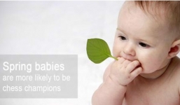 Ngày sinh có quyết định vận mệnh?