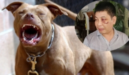 Bị đánh 'nhập viện' vì can chó cắn nhau