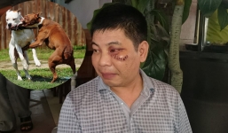Can chó cắn nhau, bị hành hung nhập viện: 'Hai bố con họ lao vào đánh tôi'