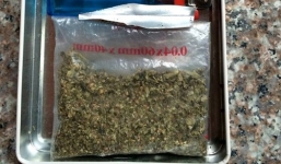 Hoảng hốt phát hiện cần sa trong hộp đồ chơi trẻ em