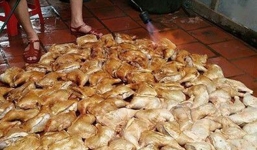 Sự thật đằng sau bức ảnh “nướng gà” bằng đèn khò siêu bẩn