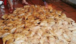 Tác giả bức ảnh 'công nghệ' nướng gà trên nền nhà lên tiếng