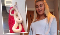 Thiếu nữ “chết sững” khi thấy rắn khủng nằm vắt vẻo trong phòng tắm