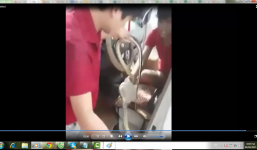 Clip: Nam thanh niên tay không bắt trăn 'khổng lồ' trong ô tô ở Hà Nội