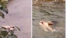 Cô gái mặc nội y chết dưới suối: Rùng mình lời khai hung thủ