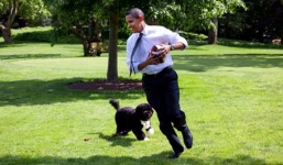 Tổng thống Obama và những tình huống cười ra nước mắt