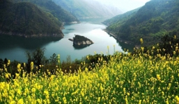 Đảo Rùa chỉ xuất hiện vào mùa xuân rồi biến mất hút khách du lịch