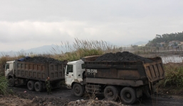 Nhức nhối 'vàng đen' và ẩn số về đoàn xe than lậu