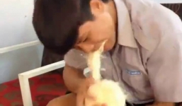 Choáng với thanh niên bóc vỏ dừa bằng răng siêu nhanh
