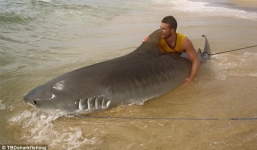 Chàng trai “vật lộn” trong 3 giờ đồng hồ để bắt cá mập dài 4 mét