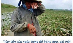 Tình người trên facebook từ chuyện mua dưa giúp nông dân Quảng Nam