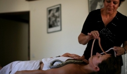 Kinh hãi cô gái để hàng chục con rắn bò trên lưng trần