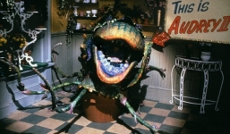 Loài cây ăn thịt mới có hình dạng giống người ngoài hành tinh