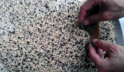 Dân sành ăn Hà Nội phát cuồng trứng kiến gai đen bạc triệu