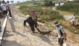 Xác minh xuất xứ cá sấu 30kg nằm phơi nắng trên quốc lộ 1A