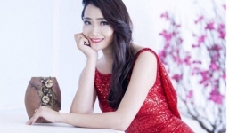 Phá đường dây người mẫu bán dâm hàng ngàn USD