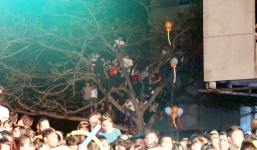 Khán giả trèo cột điện, leo cây xem Hồ Ngọc Hà hát 