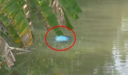 Hoảng hồn phát hiện thi thể một phụ nữ dưới rạch