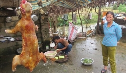 Chủ quán Bắc Ninh giết 30 con mèo mỗi ngày lên báo Anh