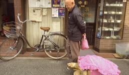 Cụ ông dắt rùa 'khủng' dạo phố gây chú ý cộng đồng mạng