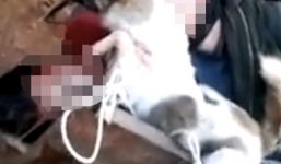 Người dân đánh nghi can trộm chó đến bất tỉnh