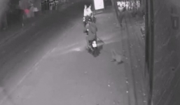 Phẫn nộ clip 4 cẩu tặc quăng thòng lọng câu trộm chó ở Hà Nội