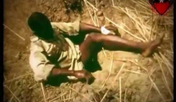 Cách bắt rắn bằng chân kỳ dị nhất hành tinh