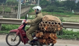 Cách sử dụng xe máy của Việt Nam khiến người nước ngoài sửng sốt