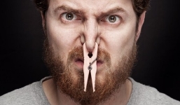 Hạnh phúc có thể ngửi được thấy