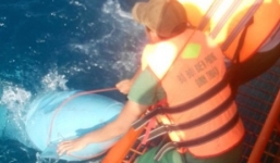 Tìm thấy mảnh vỡ ca bin buồng lái máy bay Su-22 rơi ở Bình Thuận