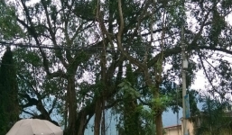 Sự thực bùa yêu xứ Mường Kỳ 1: Bí ẩn lời thiêng giới bùa ngải