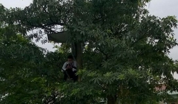 Bật cười khi CSGT núp vườn chuối, ngọn cây, nóc nhà để bắn tốc độ