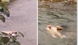 Vụ cô gái mặc nội y chết dưới suối: Hung thủ có đồng phạm?