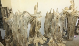 Bạch kỳ nam nghìn tỉ đại gia Việt vung tiền săn lùng