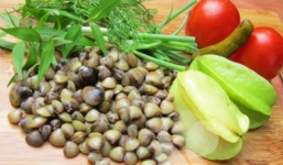 Sai lầm của việc ăn trai hến mà bạn không hề biết