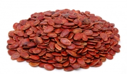 Công dụng chữa bệnh của hạt dưa hấu ít người biết đến