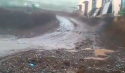 Video: Mưa đá dữ dội ở Đà Lạt phá tan hoa mầu của nông dân