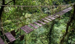 Clip: Hãi hùng đi trên những cây cầu đáng sợ nhất thế giới