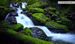 LG G4 và những bức ảnh đẹp khó cưỡng