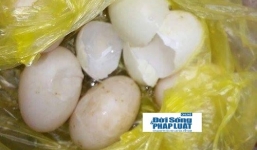 Trứng vịt có lòng trắng bám “như đỉa” gây hoang mang