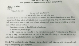Xôn xao đề thi Văn lớp 9 tại TP HCM “bẫy” học sinh