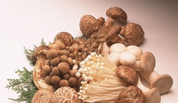 4 điều cấm kỵ khi chế biến nấm bạn tuyệt đối không mắc phải