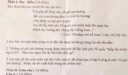 'Thái Bình mồ hôi rơi' của Sơn Tùng M-TP vào đề văn