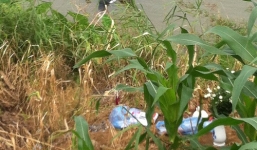 Phát hiện thi thể người đàn ông đang phân hủy trên rẫy sắn